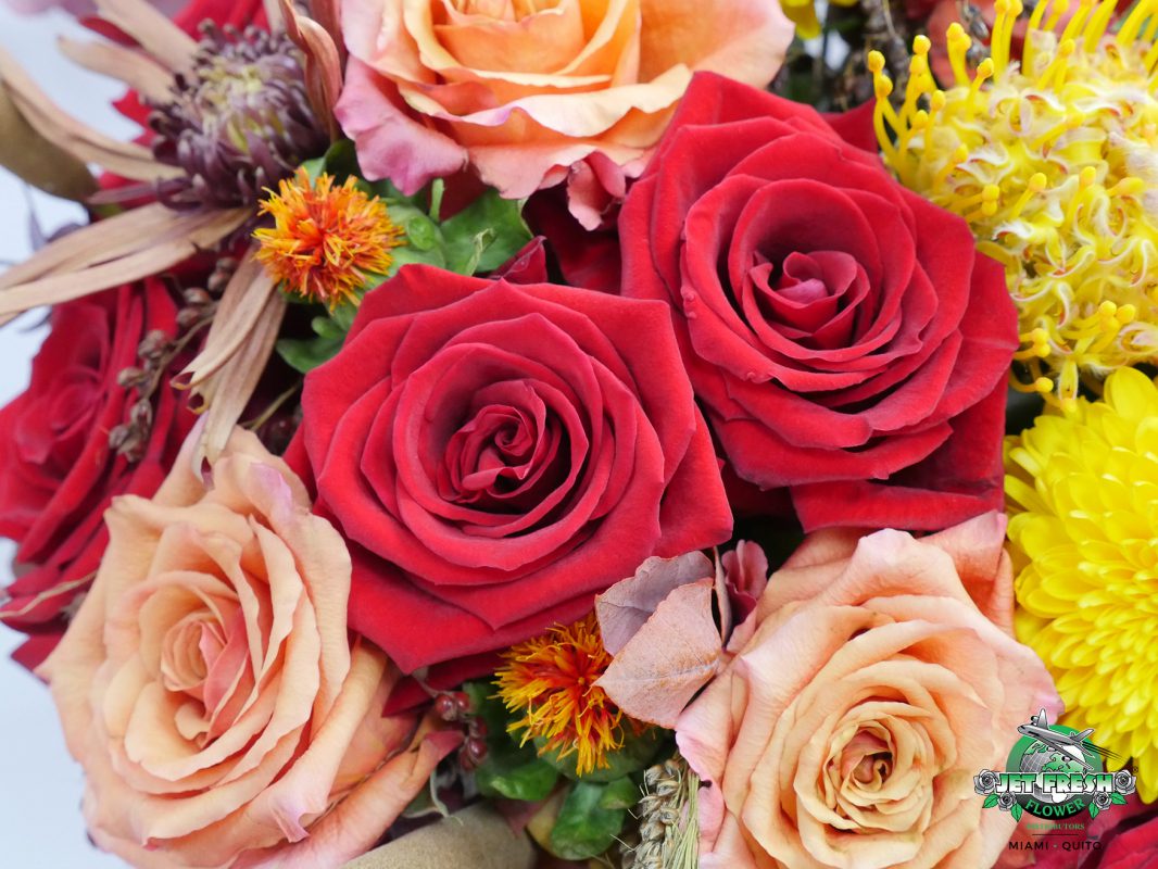 Jet Fresh Flower Distributors