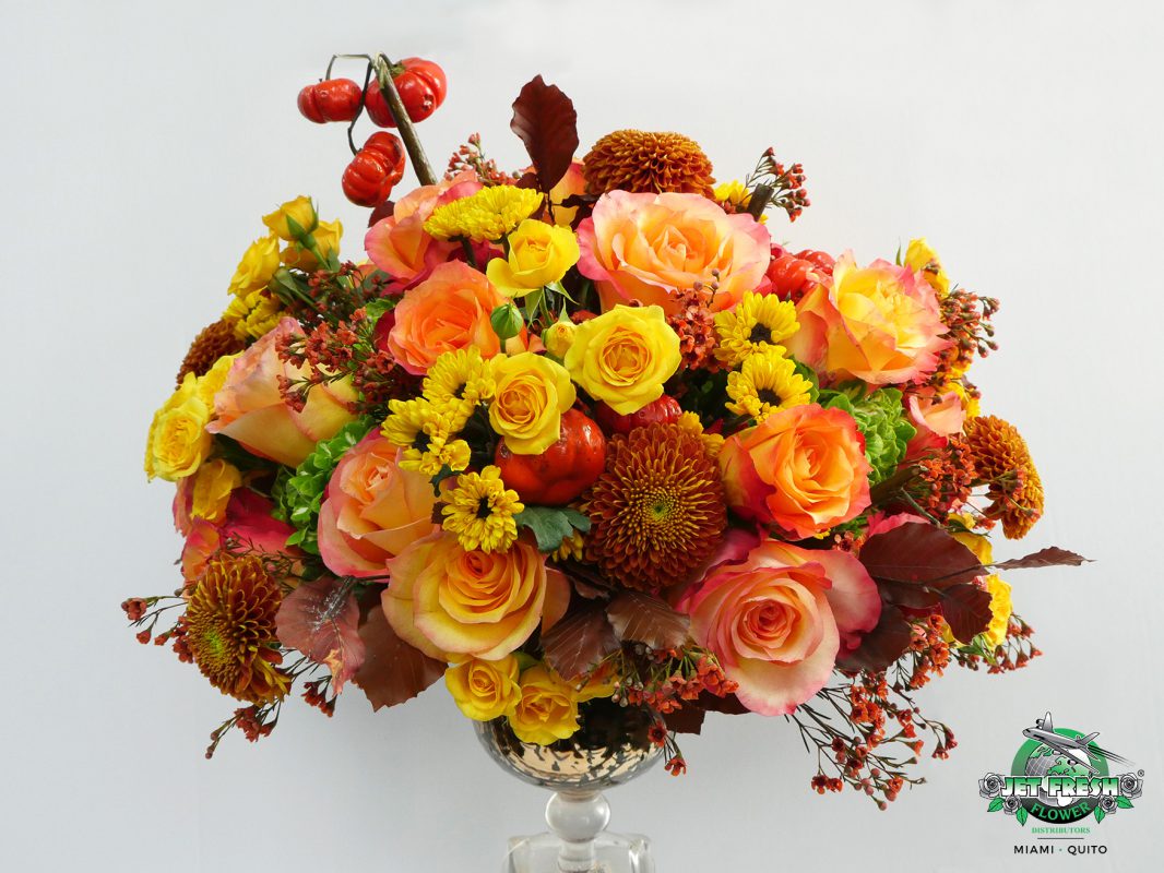 Jet Fresh Flower Distributors