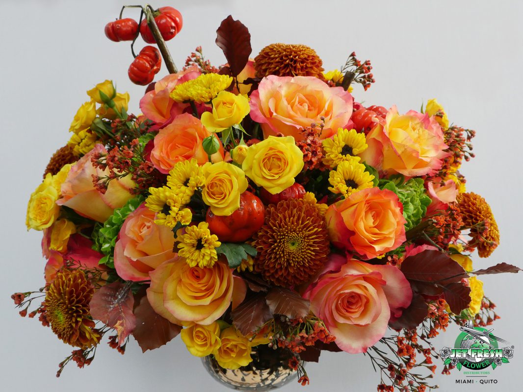 Jet Fresh Flower Distributors