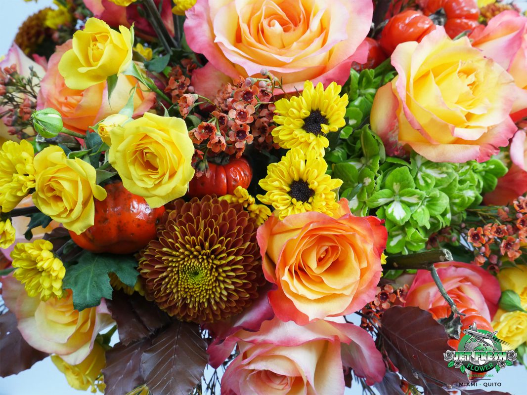 Jet Fresh Flower Distributors