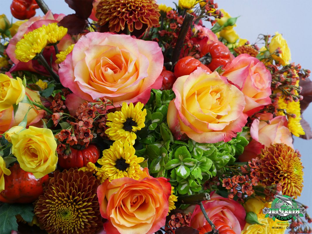 Jet Fresh Flower Distributors
