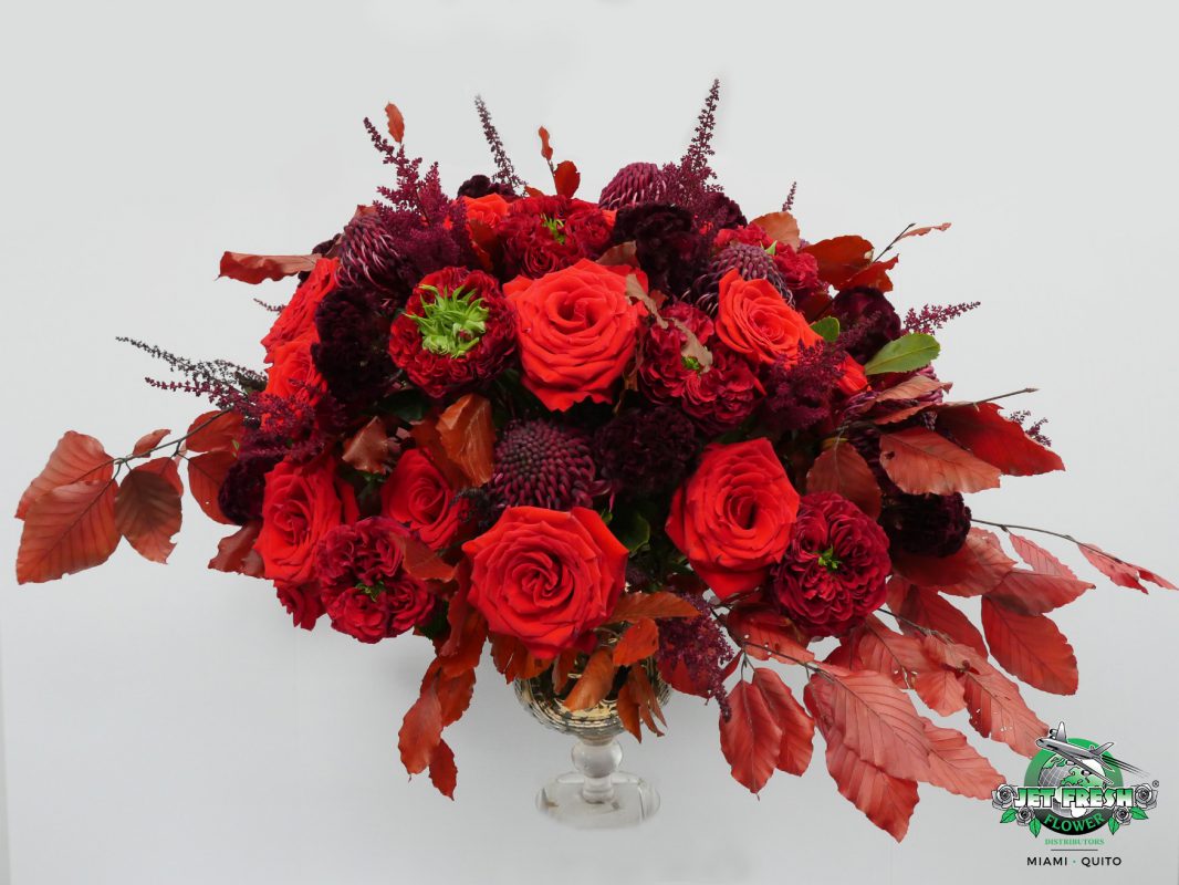 Jet Fresh Flower Distributors