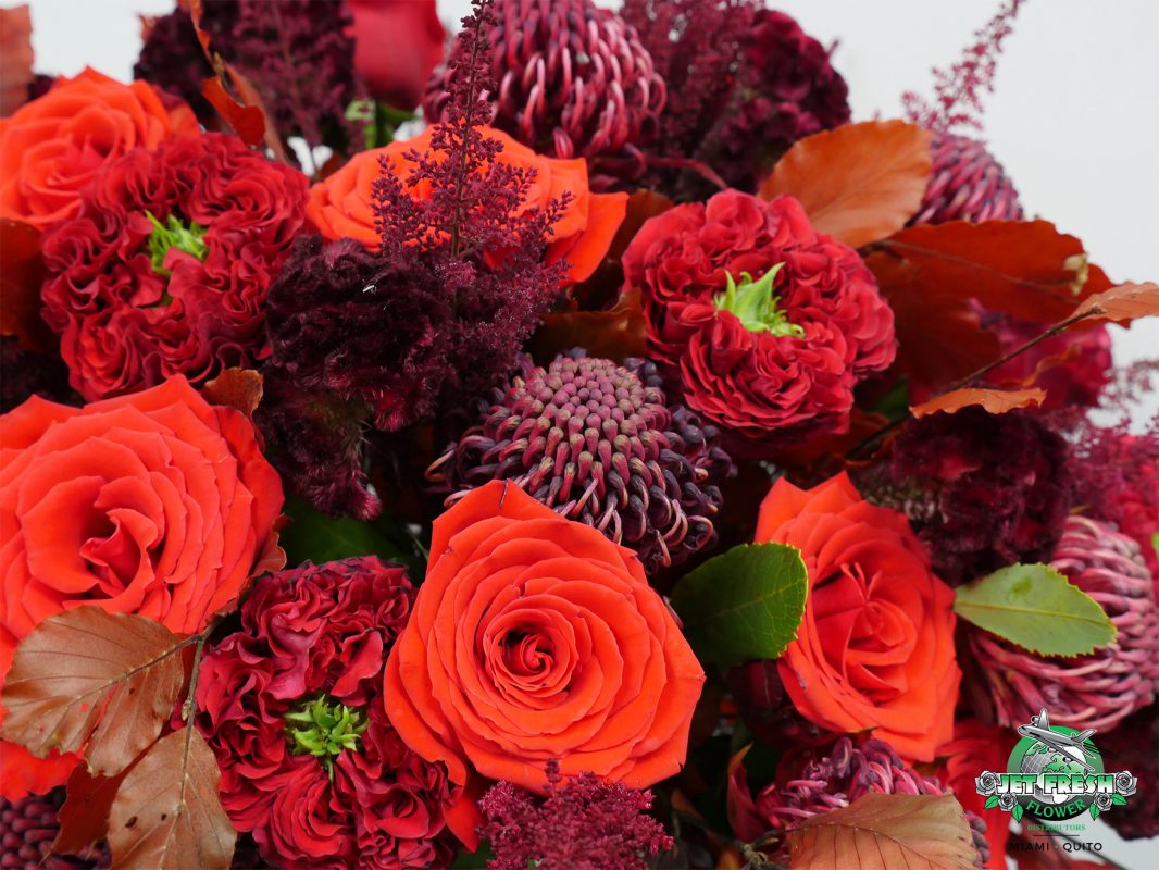 Jet Fresh Flower Distributors