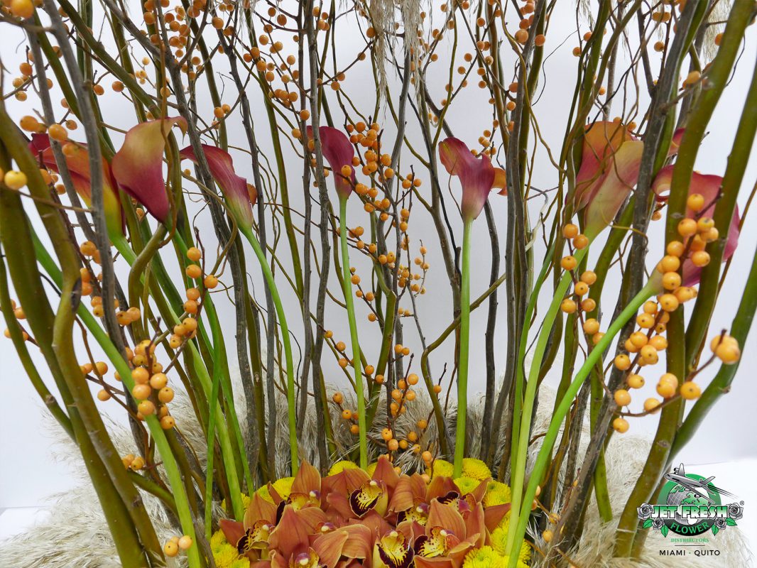 Jet Fresh Flower Distributors