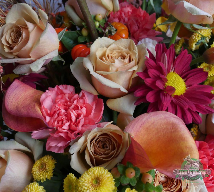 Jet Fresh Flower Distributors