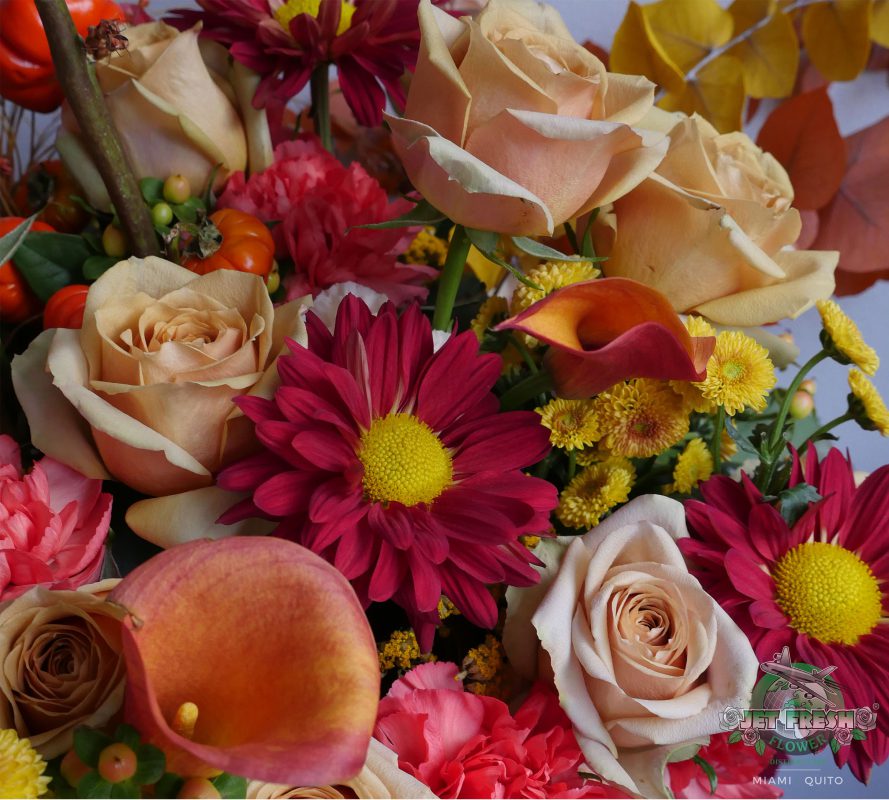 Jet Fresh Flower Distributors