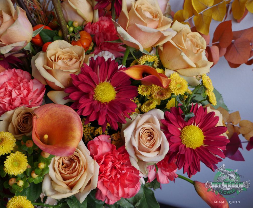 Jet Fresh Flower Distributors