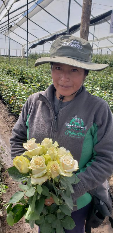Jet Fresh Flower Distributors