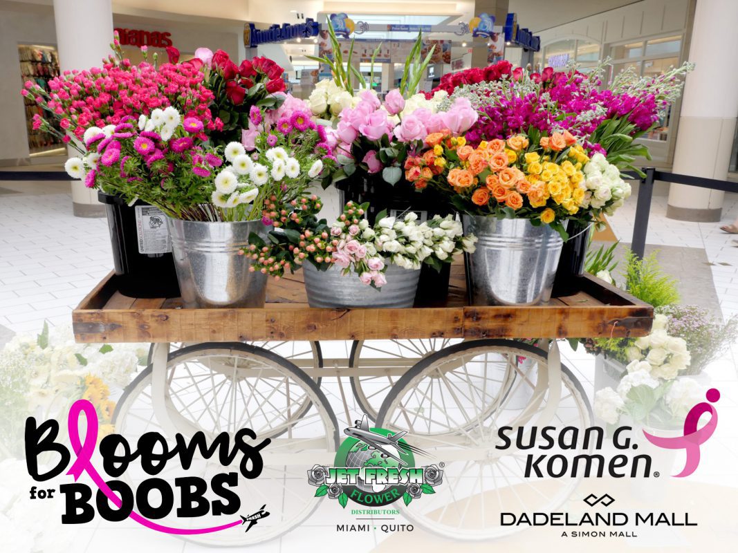 Jet Fresh Flower Distributors