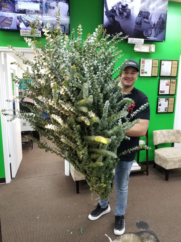 Jet Fresh Flower Distributors