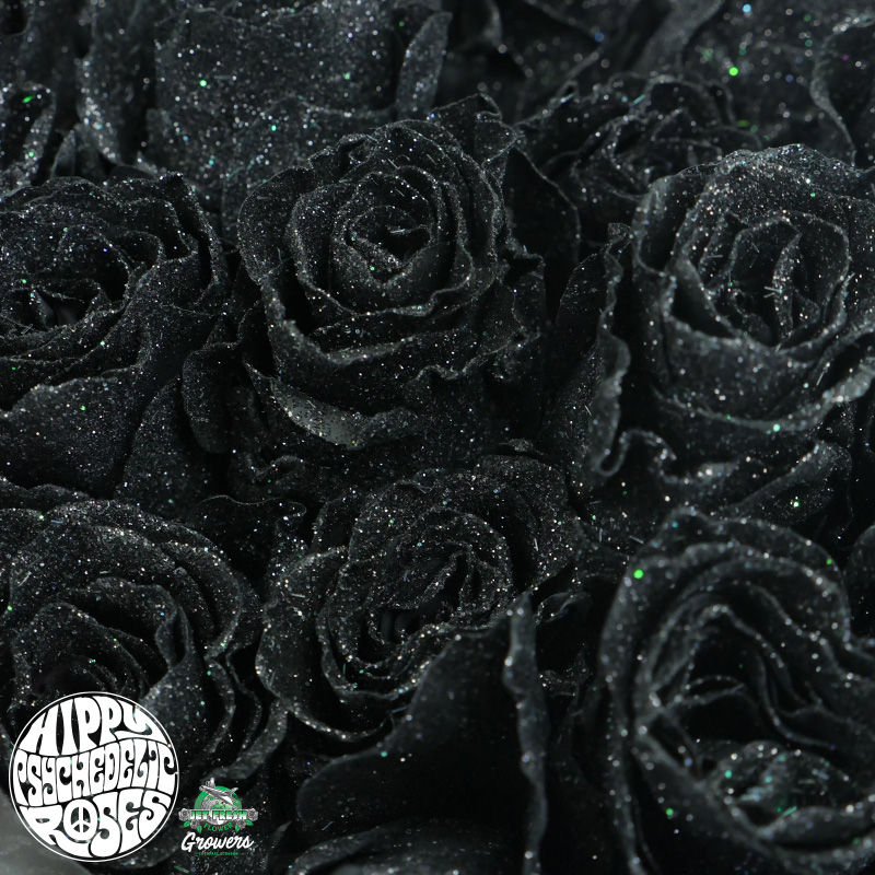 Black Tourmaline - Jet Fresh Flower Distributors