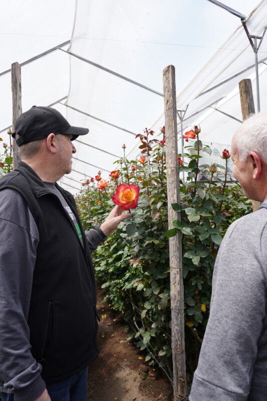 With two decades of friendship, Mike and Raffi discuss their favorite varieties.  