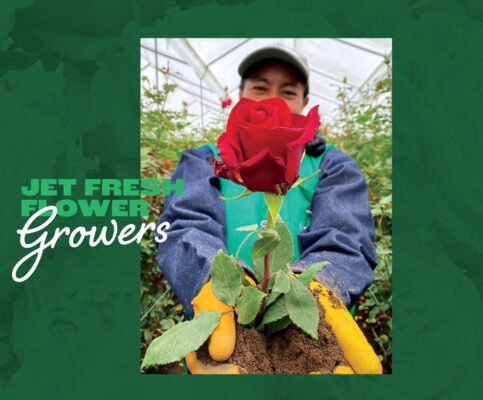 Jet Fresh Flower Growers Brochure