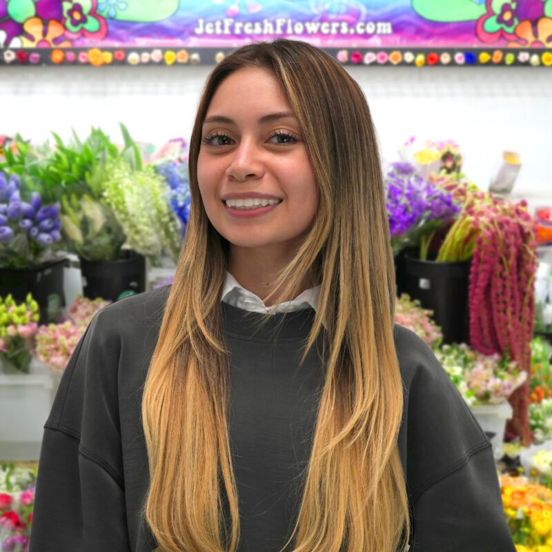 Jet Fresh Flower Distributors